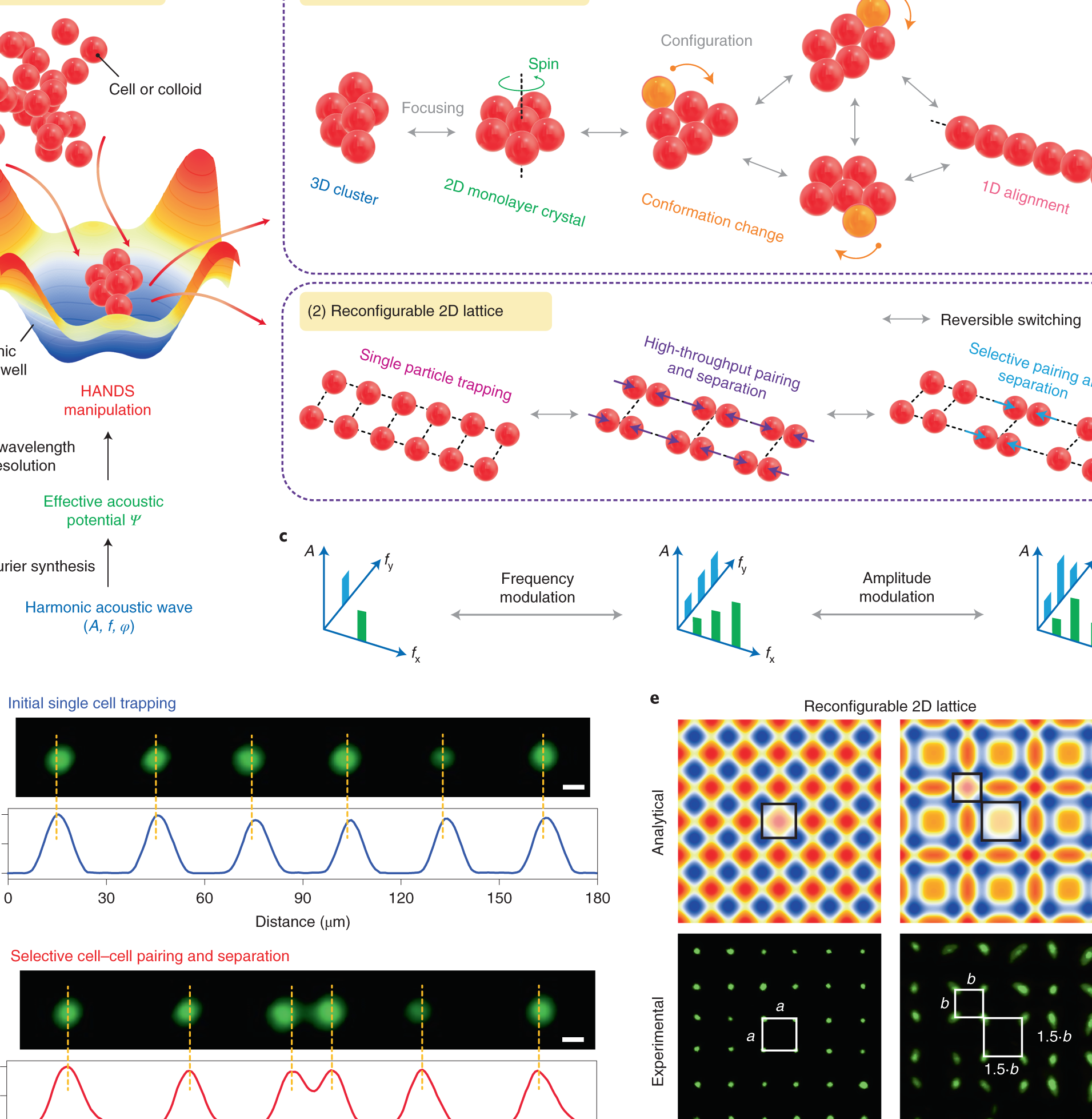 dynamic harmonic enterprise