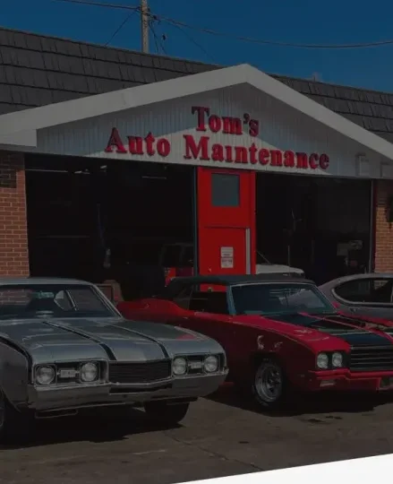 toms auto solutions